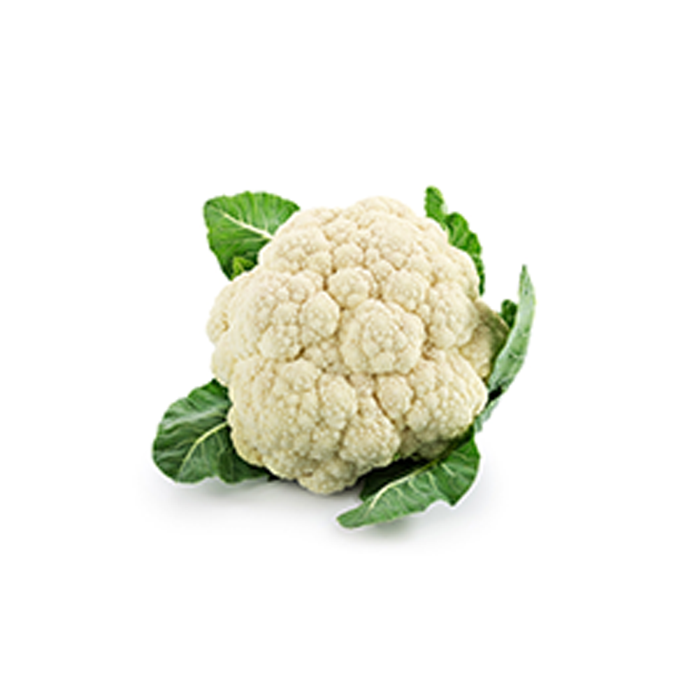 Hugo Boss Tee demark belong X45