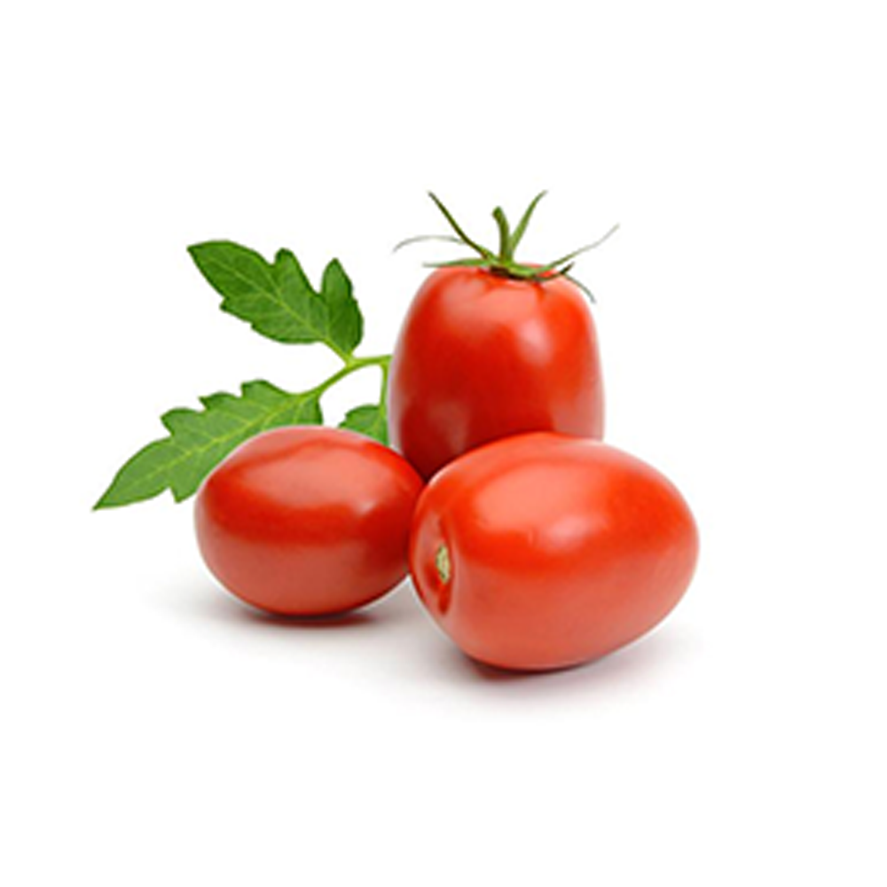 Holiday Humor Youth read F45