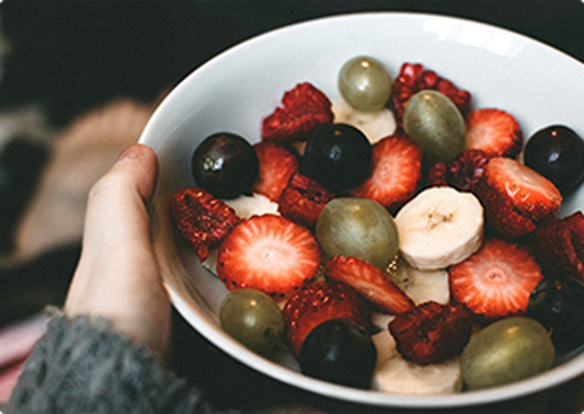 Volutpat Justo Suspendisse.